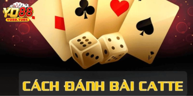 bài catte
